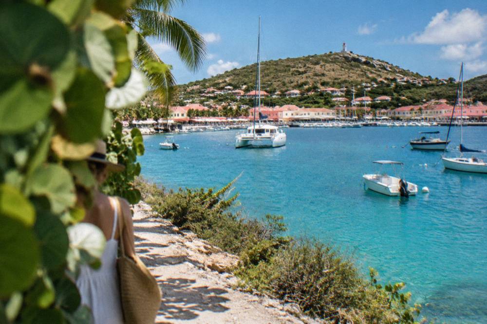 A wooded coastal path above the sea with clear turquoise water below