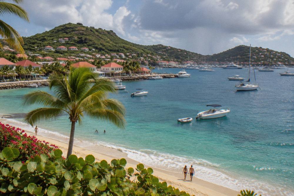 Palm fronds against a bright sky above a quiet white-sand beach on St Barts