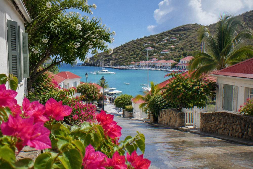 A quiet village street with low houses and flowering trees on St Barts