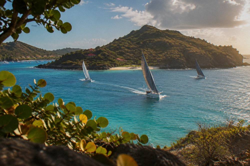 Racing sailboats heeling in the wind near a green island coastline