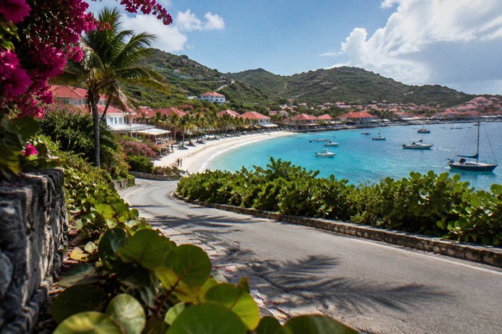 A quiet curved road lined with tropical shrubs descending toward a beach