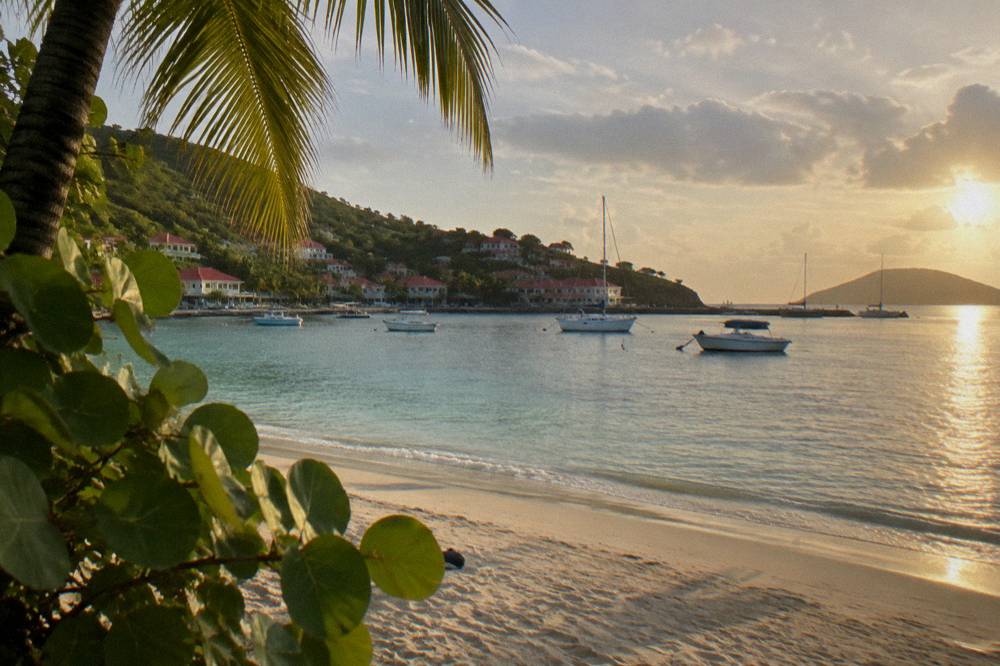 A palm-fringed public beach with calm shallow water in the morning