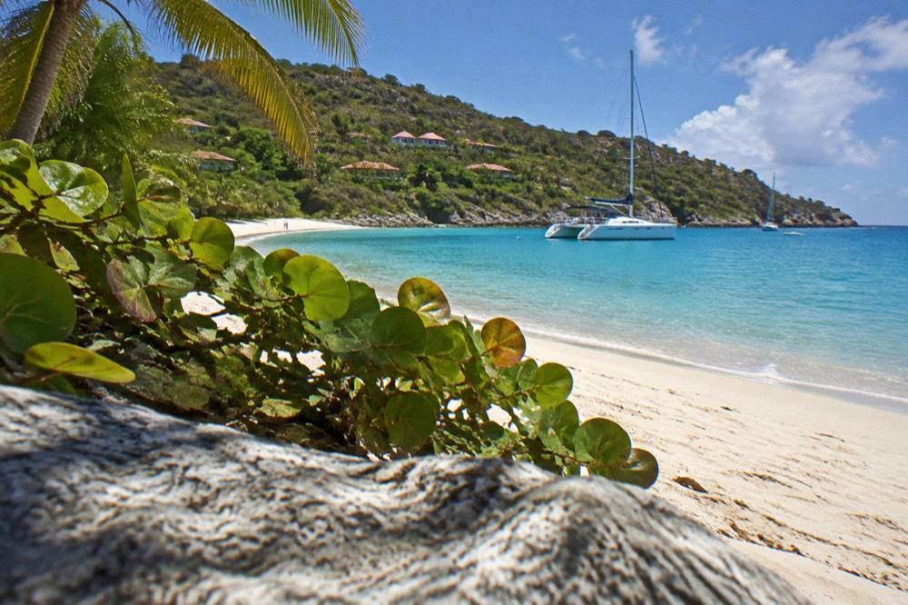 A catamaran moored in a quiet bay beside a green headland