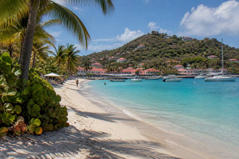 A quiet palm-lined beach in St Barts at midday with calm turquoise water