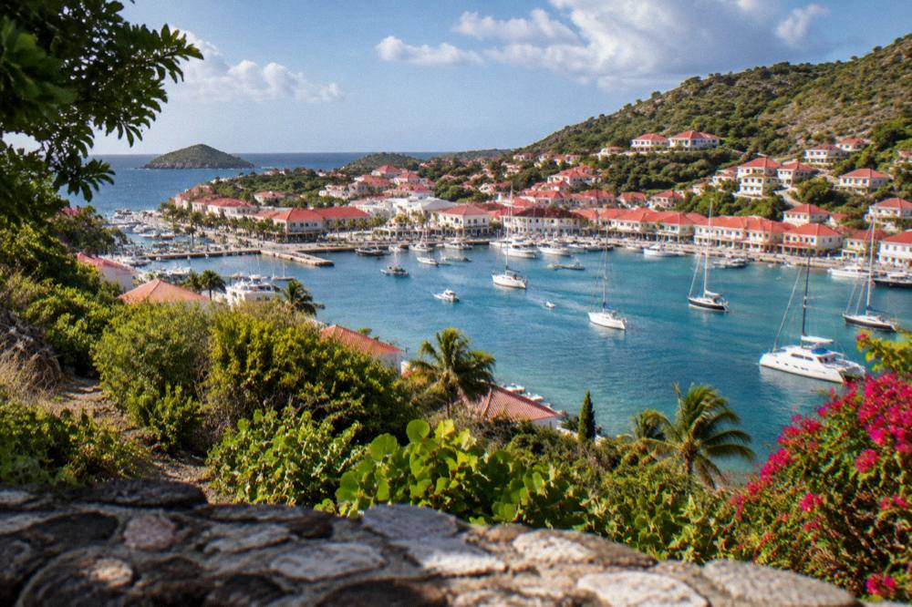 Red rooftops of a small harbour town seen from a green hillside above the sea