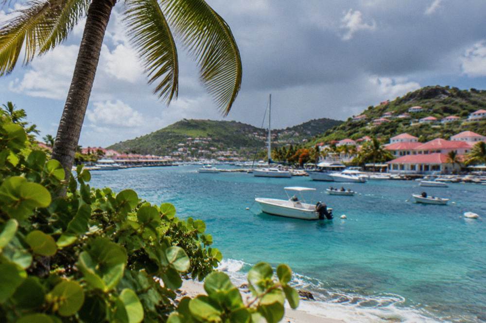 Palm trees bending under grey rain clouds over a Caribbean beach