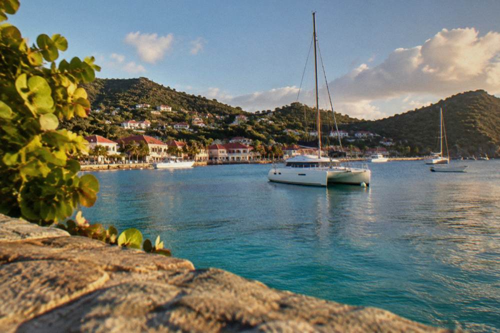 A catamaran moored in a quiet bay with a wooded headland behind it