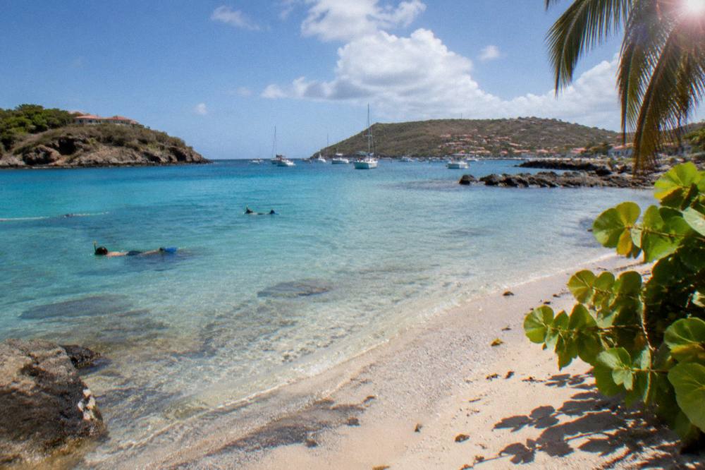 Snorkellers floating over coral and fish in clear shallow water