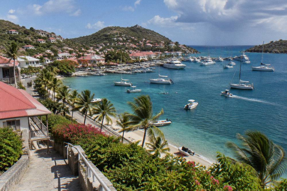 Palm trees bending gently in the trade wind along a St Barts shoreline