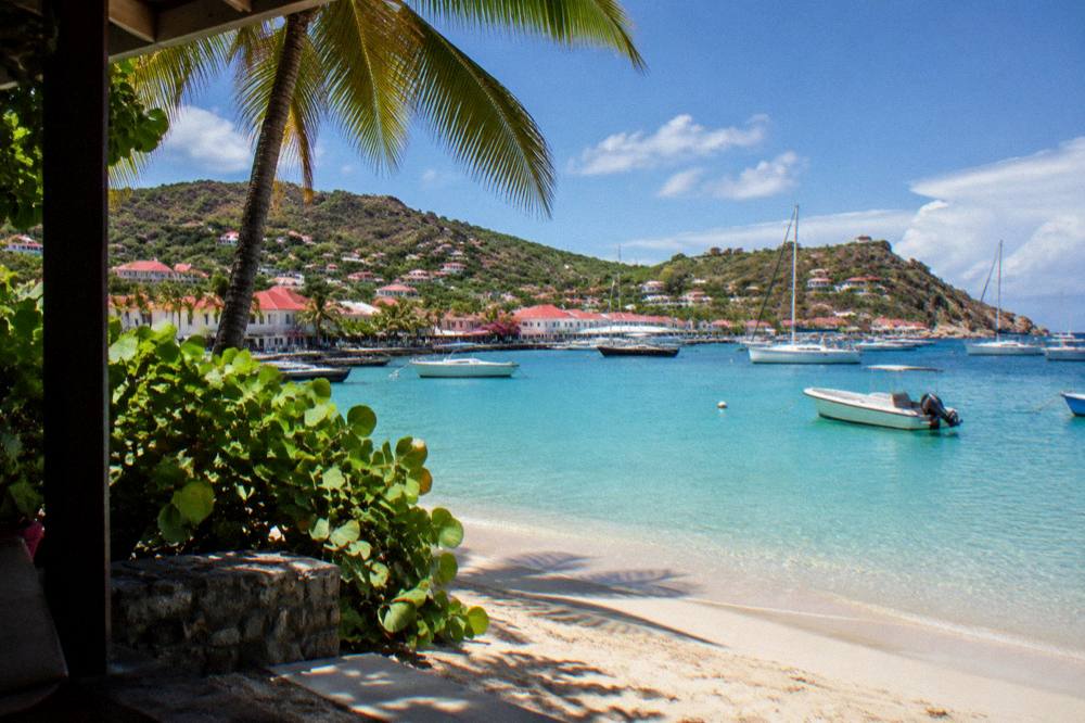 A sunny beach on St Barts with calm turquoise shallows and a few palm trees