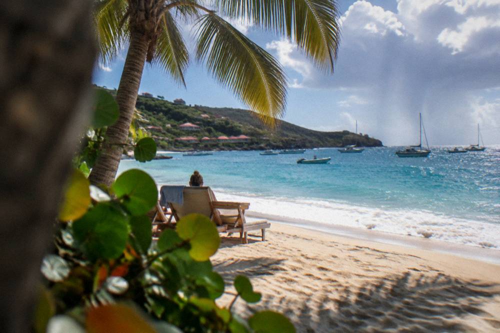 Two lounge chairs under a palm tree facing a quiet Caribbean bay