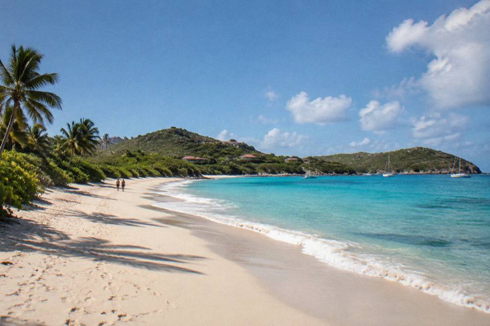 Long crescent of pale sand at Saline beach backed by low green vegetation on the south coast of St Barts
