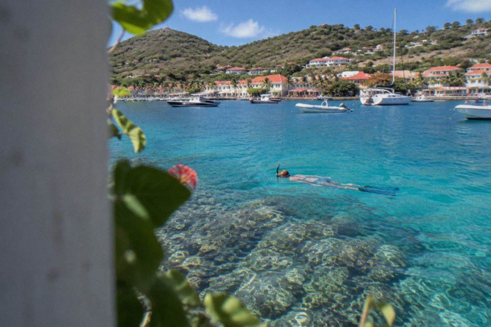 A snorkeler floating over clear water above a coral reef near St Barts