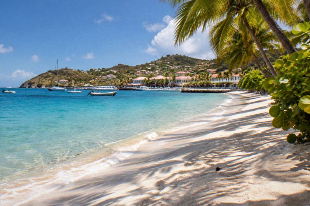 Palm trees leaning over an empty stretch of sand on St Barts under a blue sky