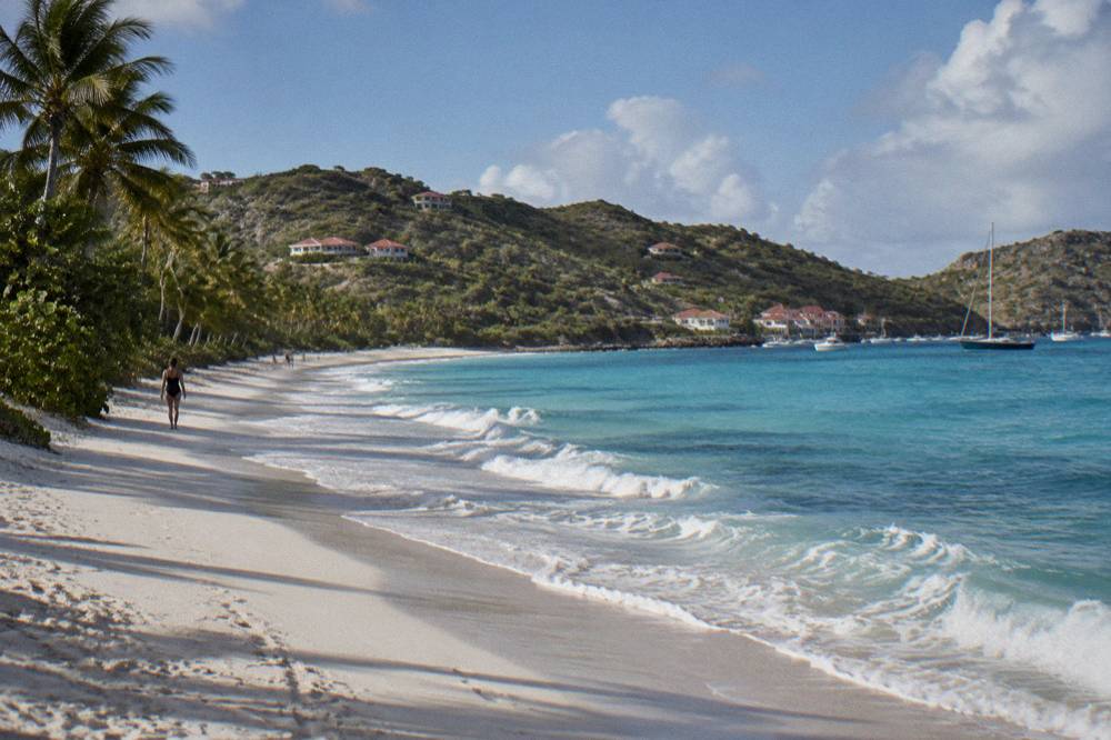 A wide sandy beach with gentle waves and a few palm trees at Flamands